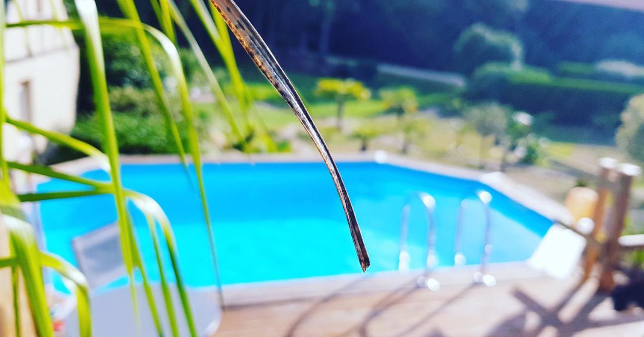 Le Vieux Moulin Gites - Detached Cottage With Garden Views And Pool Guegon ภายนอก รูปภาพ